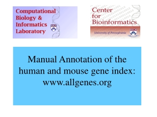 Manual Annotation of  the human and mouse gene index: allgenes