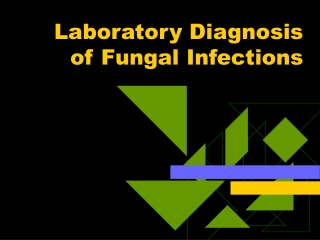 Laboratory Diagnosis of Fungal Infections