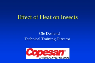 Effect of Heat on Insects