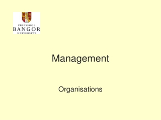 Management