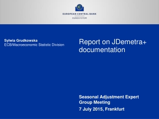 Report on JDemetra+ documentation