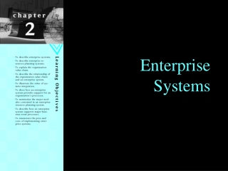 Enterprise Systems