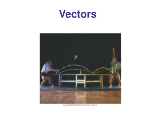 Vectors