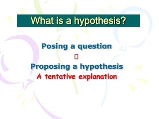 What is a hypothesis?