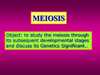 MEIOSIS