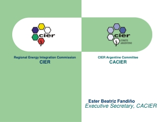 Executive Secretary, CACIER