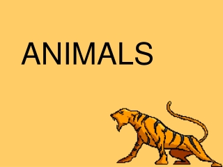 ANIMALS