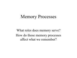 Memory Processes