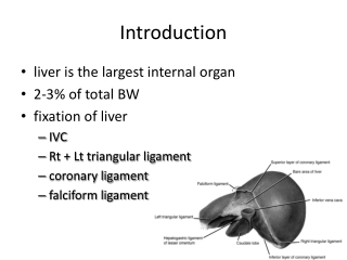 Introduction