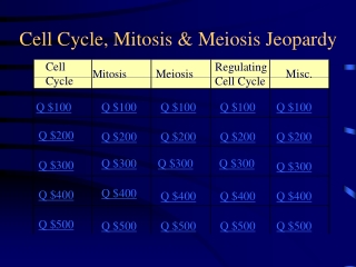 Cell Cycle, Mitosis &amp; Meiosis Jeopardy