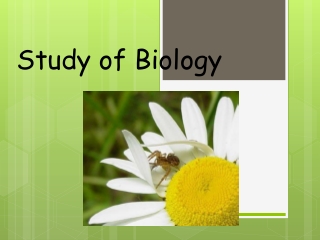 Study of Biology