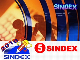 SINDEX