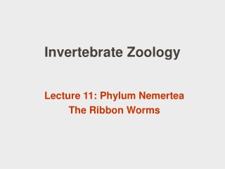 Invertebrate Zoology