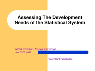 Assessing The Development Needs of the Statistical System