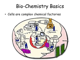 Bio-Chemistry Basics