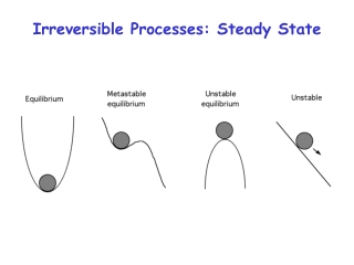 Irreversible Processes: Steady State