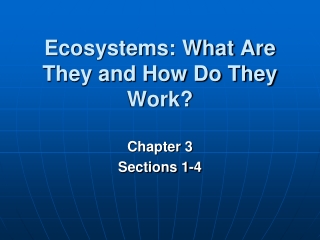 Ecosystems: What Are They and How Do They Work?