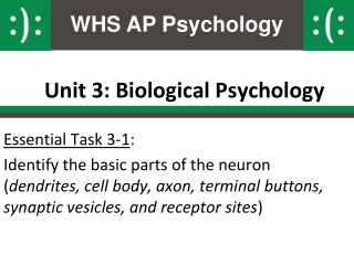 Unit 3: Biological Psychology