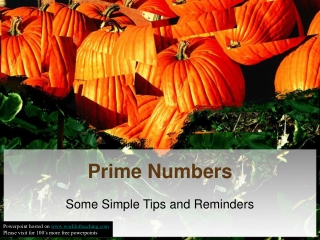 Prime Numbers