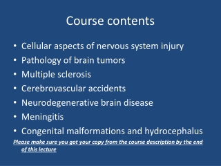 Course contents