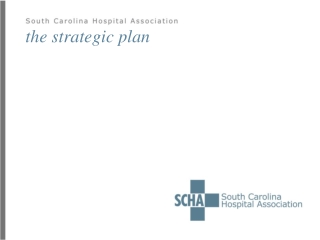 the strategic plan