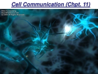 Cell Communication (Chpt. 11)