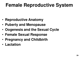 Female Reproductive System