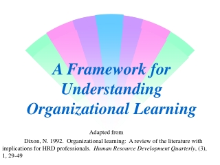 A Framework for Understanding Organizational Learning