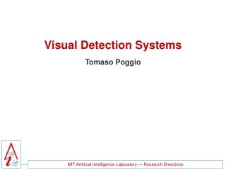 Visual Detection Systems