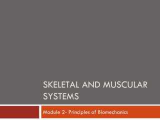 Skeletal and muscular systems