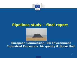 Pipelines study – final report