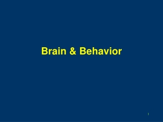 Brain &amp; Behavior
