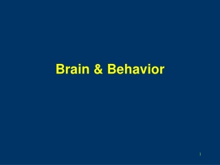 Brain &amp; Behavior