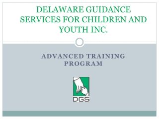 DELAWARE GUIDANCE SERVICES FOR CHILDREN AND YOUTH INC.