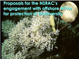 Proposals for the NSRAC’s engagement with offshore MPAs for protection of biodiversity