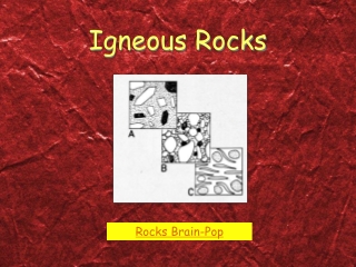 Igneous Rocks