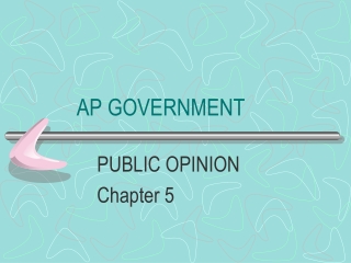 AP GOVERNMENT