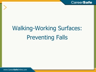 Walking-Working Surfaces: Preventing Falls