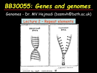 BB30055: Genes and genomes