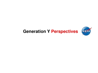 Generation Y  Perspectives