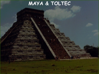 MAYA &amp; TOLTEC