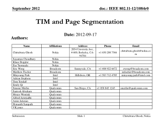TIM and Page Segmentation