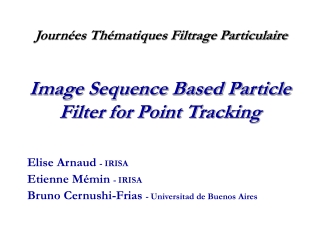 Image Sequence Based Particle Filter for Point Tracking