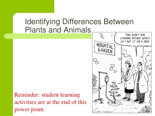 Identifying Differences Between Plants and Animals