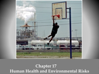 Chapter 17	 Human Health and Environmental Risks