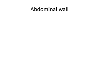 Abdominal wall