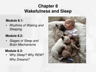 Chapter 8 Wakefulness and Sleep