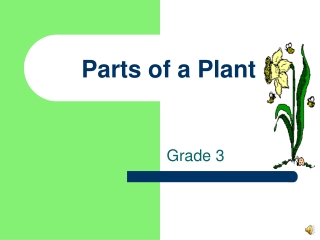 Parts of a Plant