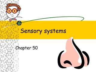 Sensory systems