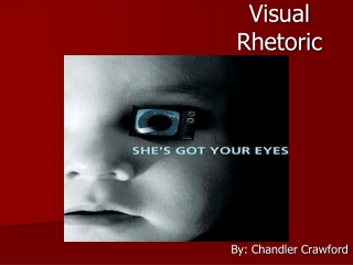 Visual Rhetoric